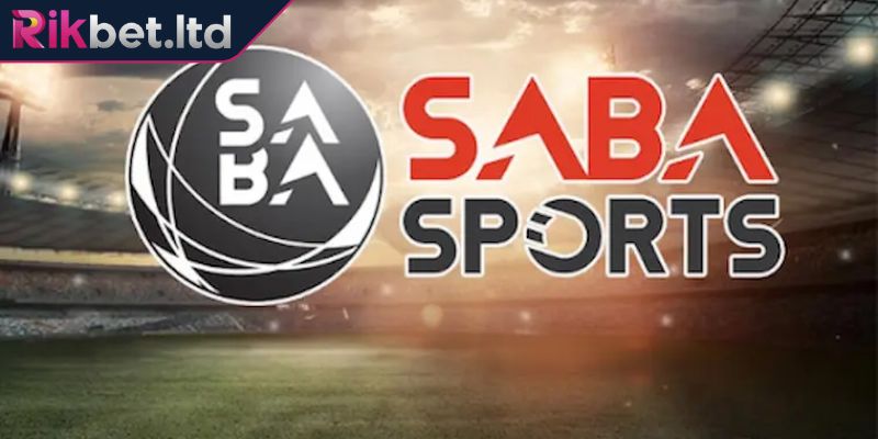 Thế giới thể thao đa chiều mọi bộ môn trong tầm tay